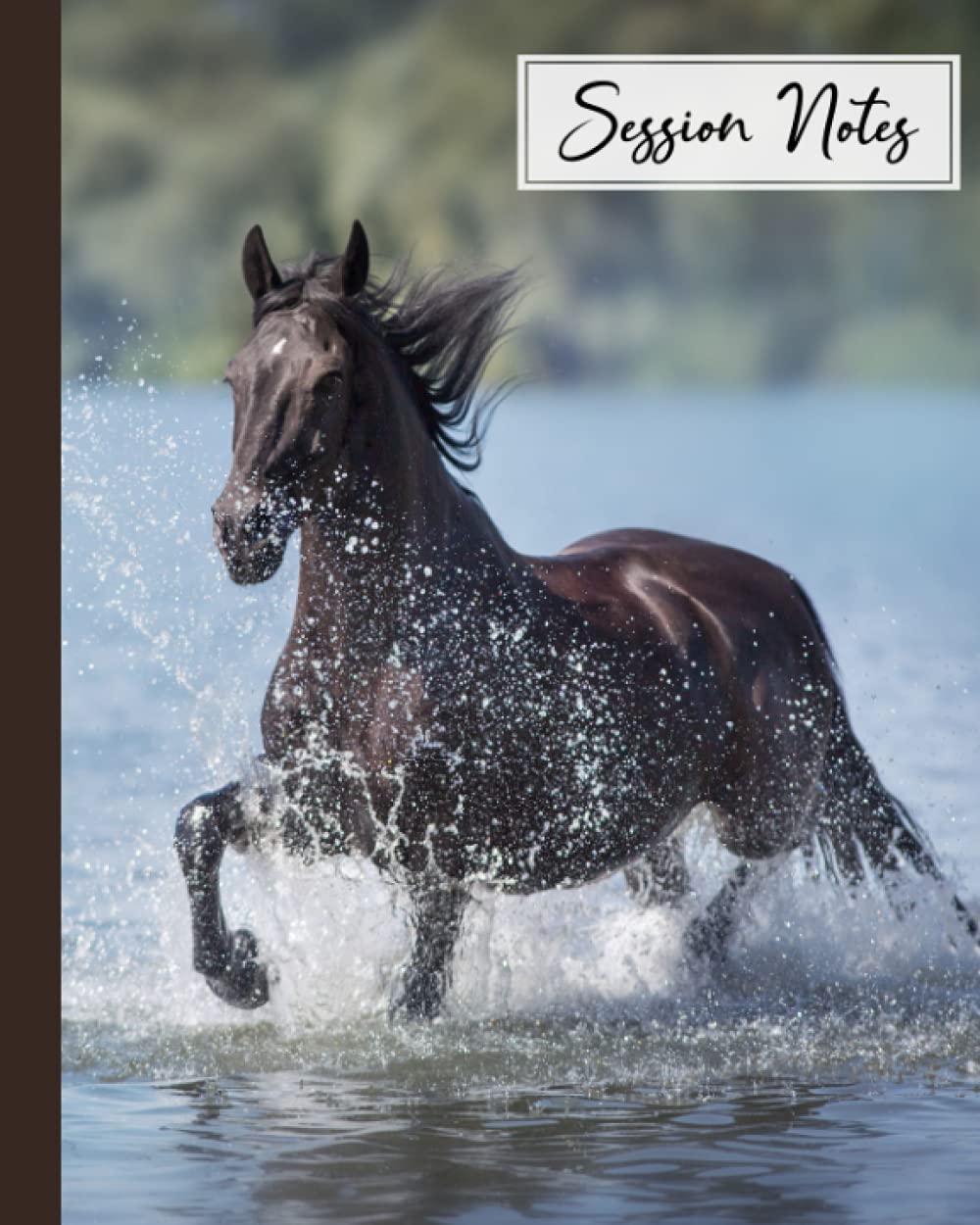 Session Notes Log: Horse Session Notes Log, A Logbook to Record Client Appointments, Therapeutic Interventions, Progress and Plans for Therapists, 120 Pages, Size 8" x 10" by Willi Ruf