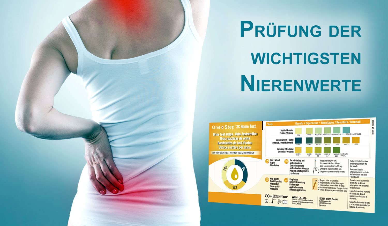 One+Step Nierentest 5 Stück - Urin Teststreifen zur Kontolle von Kreatinin, Protein und spezifisches Gewicht