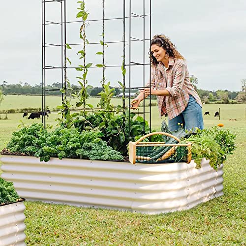 T4U Raised Garden Bed,17" Tall 8Ft X 2Ft Zinc-Aluminum-Magnesium Stainless Steel Durable Metal Planter Box, Easy To Install, Outdoor Planter Garden Bed For Vegetables Flowers Fruits Etc(Ivory White) #TOP7