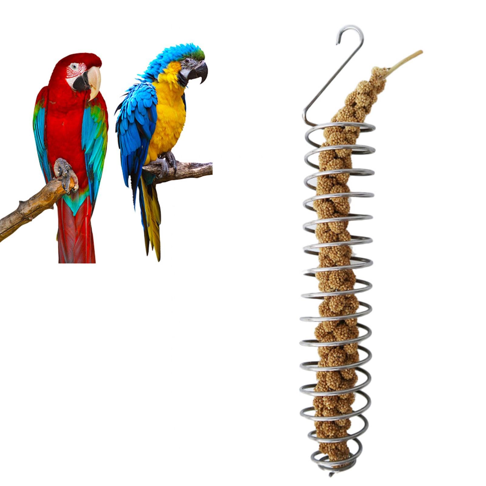 2 Mangiatoie In Acciaio Inox Per Gabbia Uccelli – Porta Spighe Di Miglio E Frutta – Gioco Di Foraggiamento Per Pappagalli