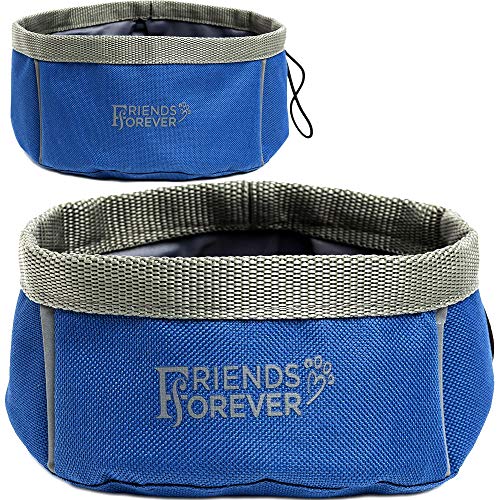 Friends Forever Collapsible Dog Bowl