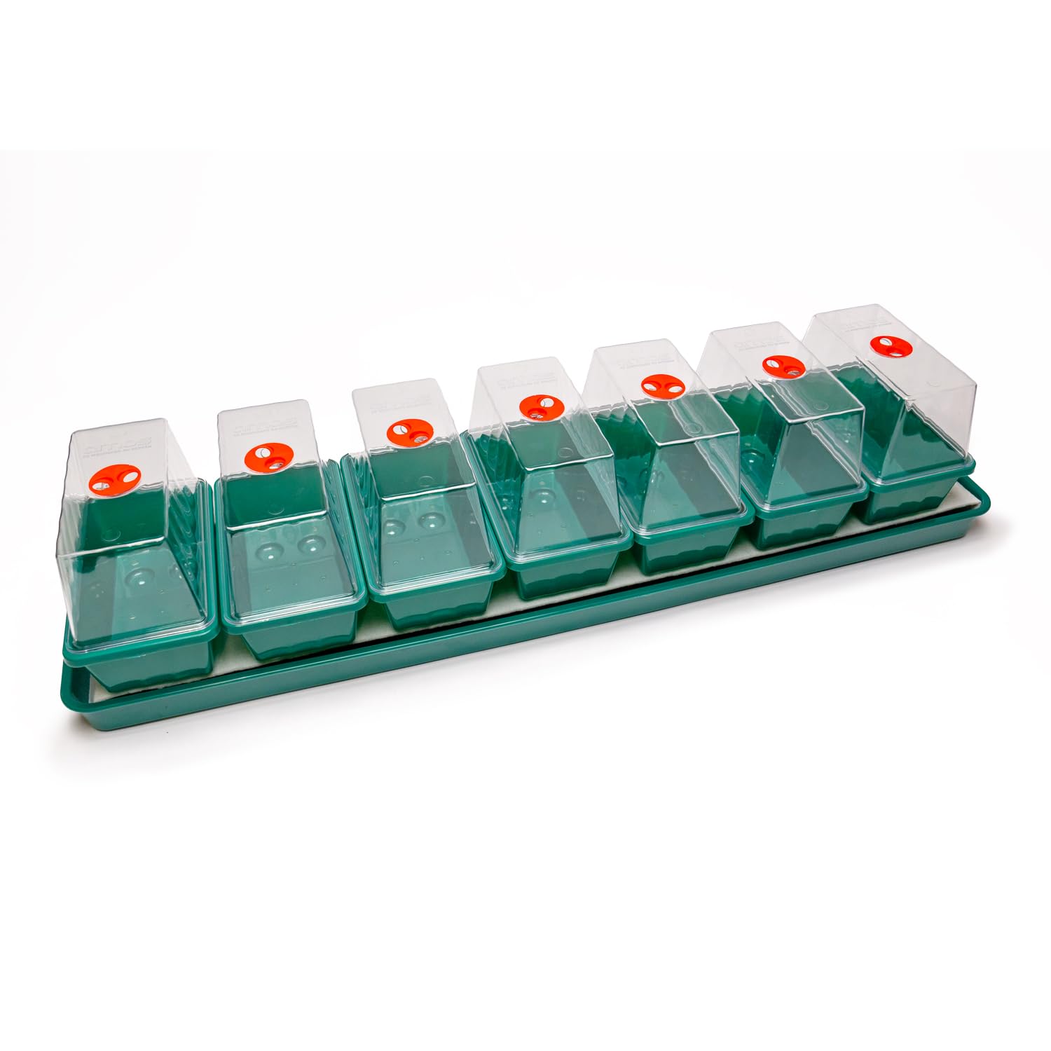Amos Clear A& Green Eezy Grow Self-Watering Propagator – Effortless Seed Germination & Cutting Propagation Indoor With Automatic Capillary Watering System & Large Reservoir For Healthy Plant Growth