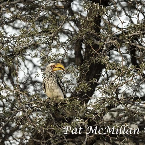 Grounding for Uncertainty &copy;2026 Podcast Por  arte de portada