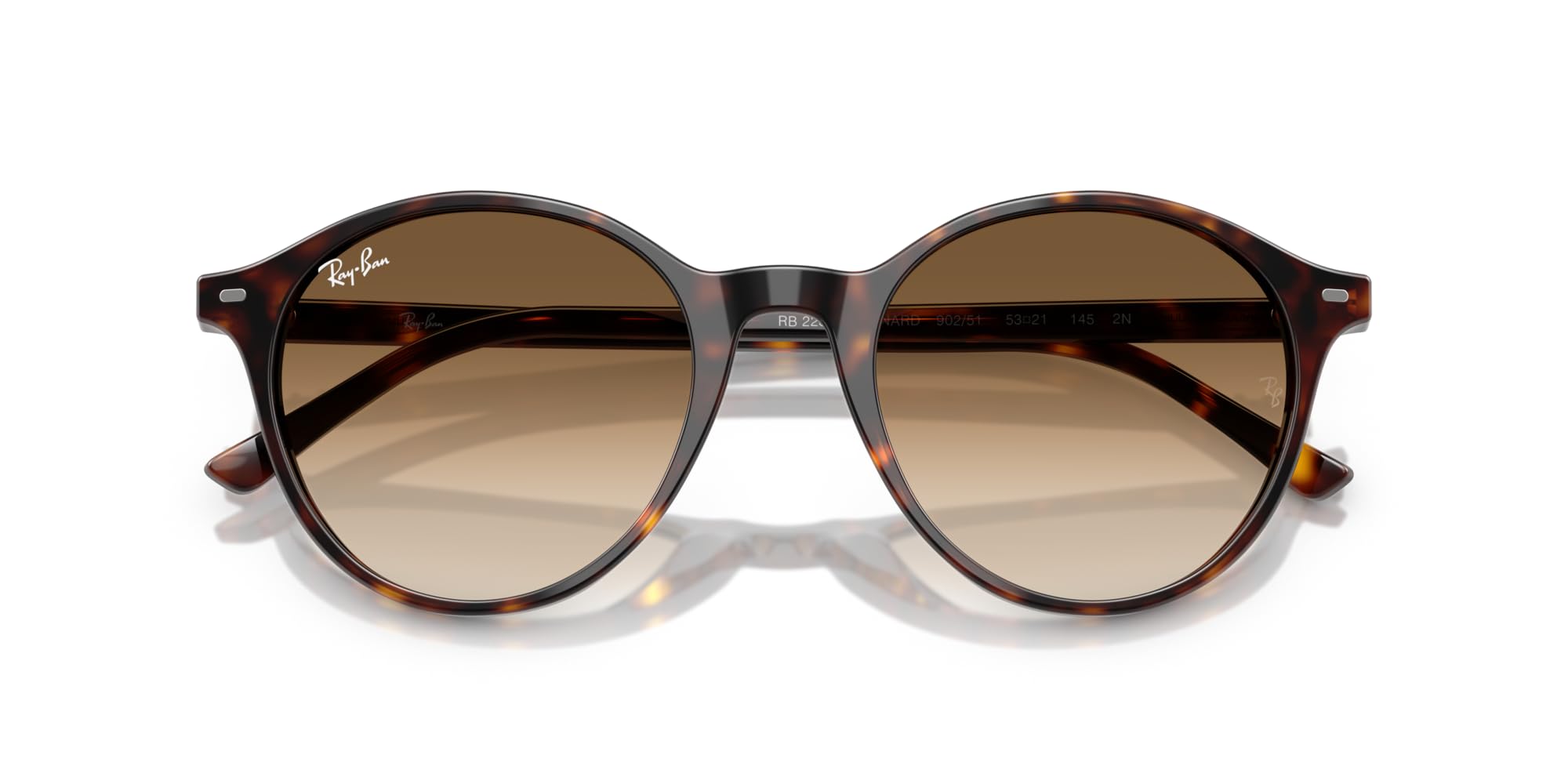 Ray-Ban Rb2230 Bernard Runde Sonnenbrille Havana/Braun Farbverlauf transparent