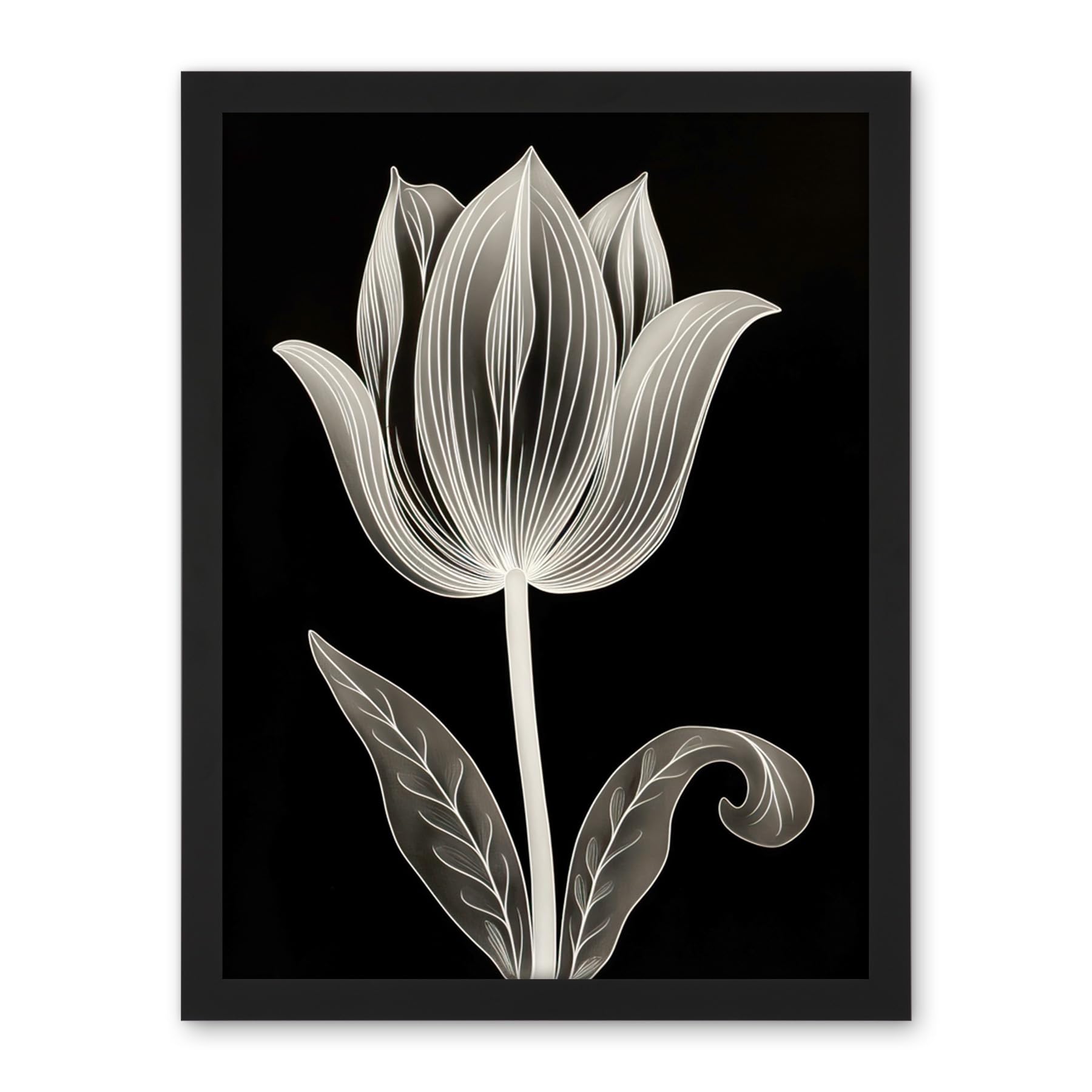 Artery8 A Single Tulip Flower Black and White Folk Art Artwork Framed Wall Art Print 18X24 Inch