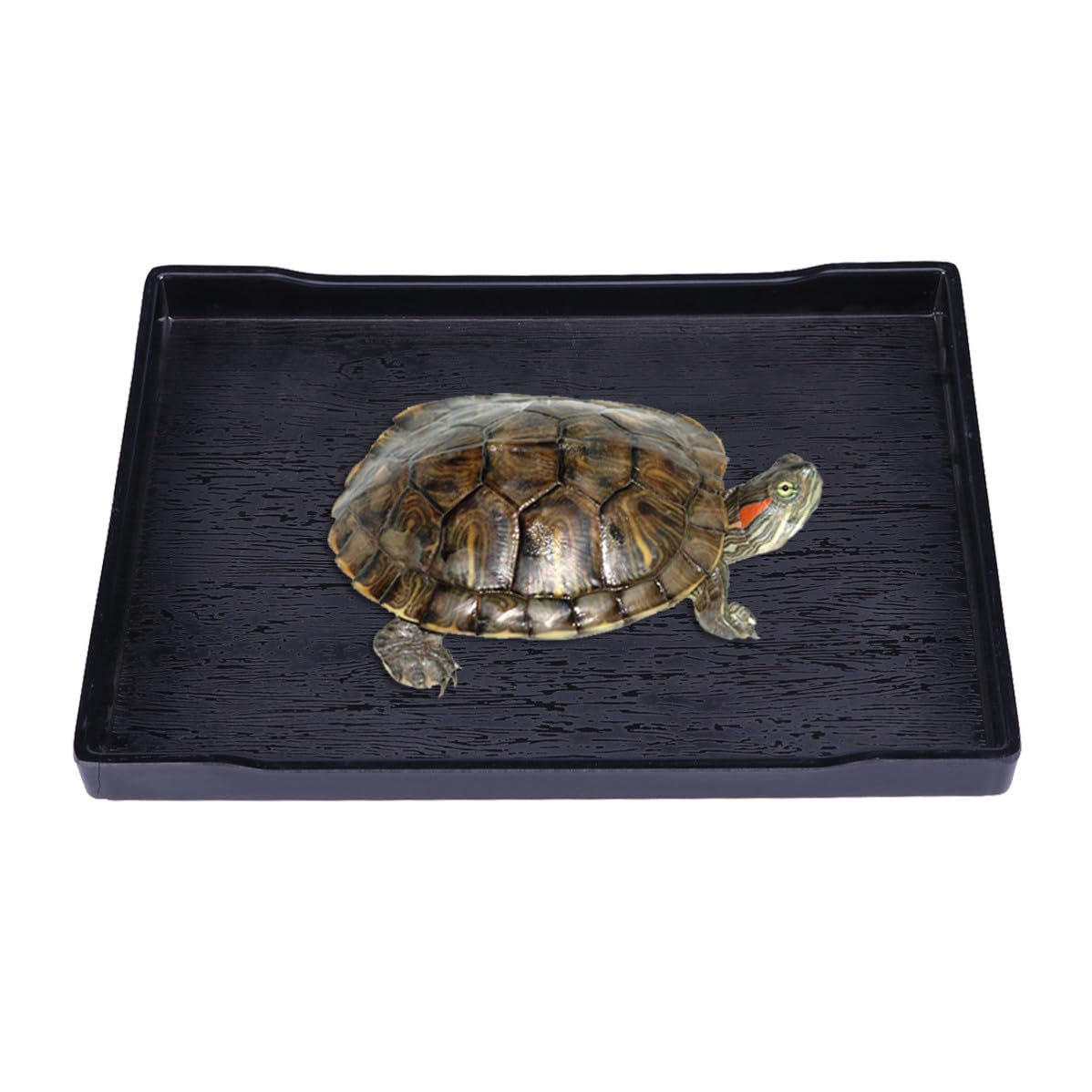 Kisangel Large Turtle Bowl Black Weighted Unbreakable Reptile Food Water Bath Dish with Shallow Design for Easy Climbing Pet Supplies for Tortoise Gecko Snake and Other Reptiles