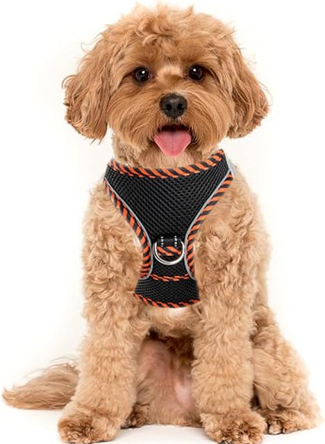 YUDOTE Step-in Reflective Harness Easy-on Easy-off 2-Layer Soft Mesh Vest with ID Tag Holder for Small Puppies,Cats Daily Use,XS,Black with Orange