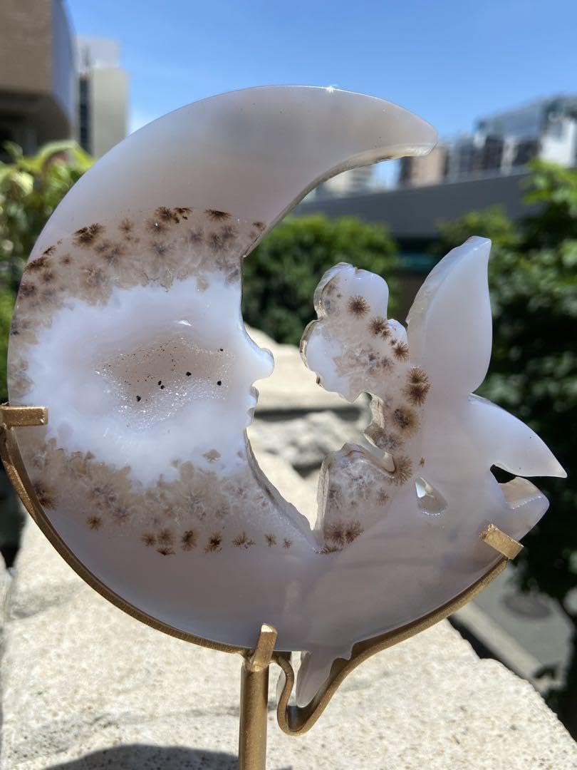 Amazon.co.jp: 瑪瑙妖精！月デンドリック共生 キラキラジオードR 62