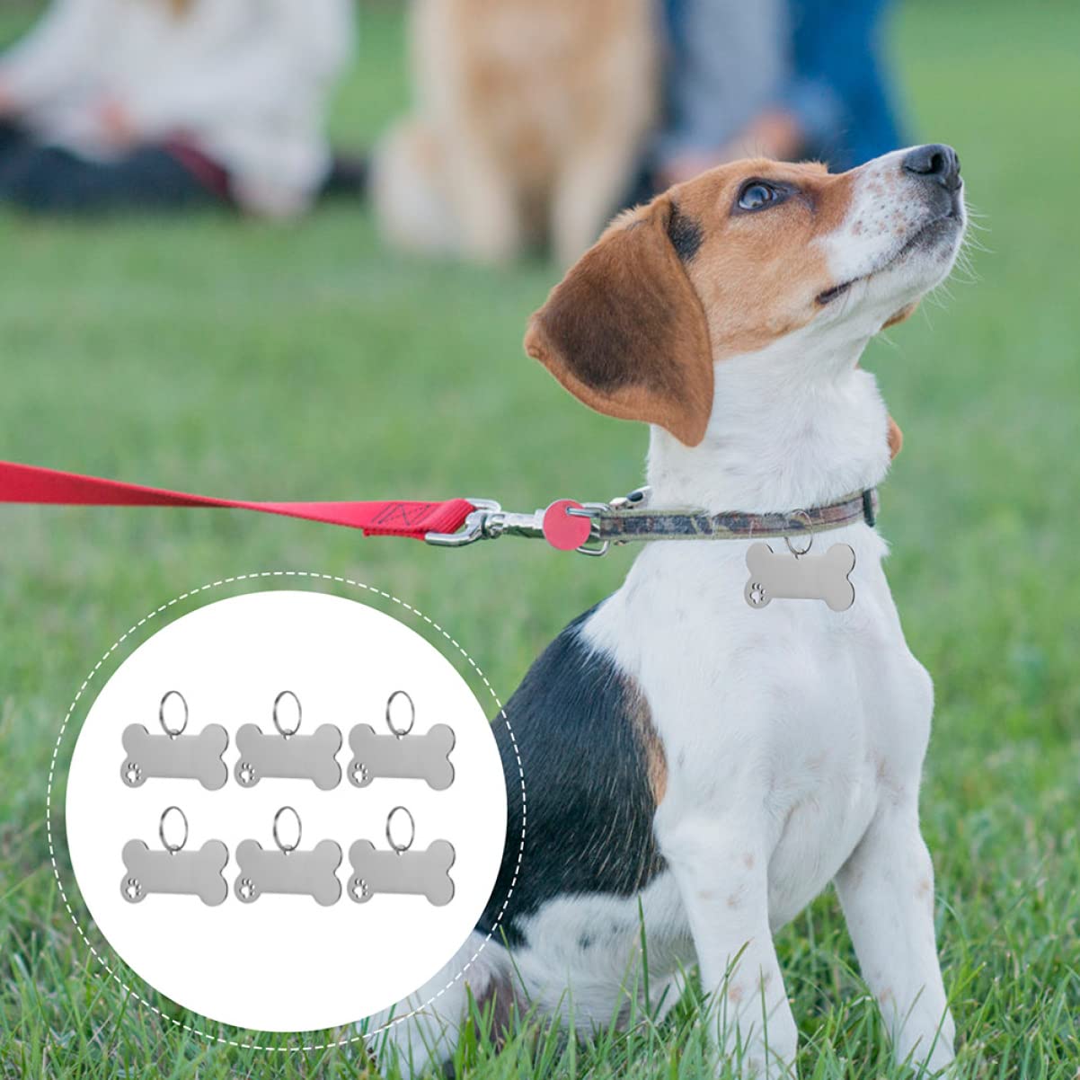 YARNOW 30pièces Plaques Identification pour Chiens Médailles Gravées pour Colliers De Chiens Et Accessoires Personnalisés pour Animaux De Compagnie