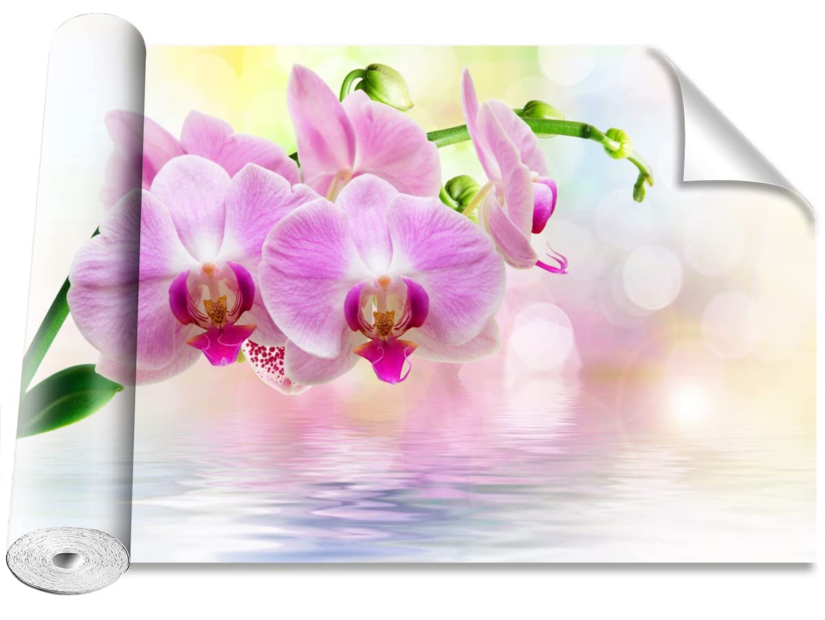 Papier peint Tulup orchidées roses 152x104cm pour décoration murale de maison