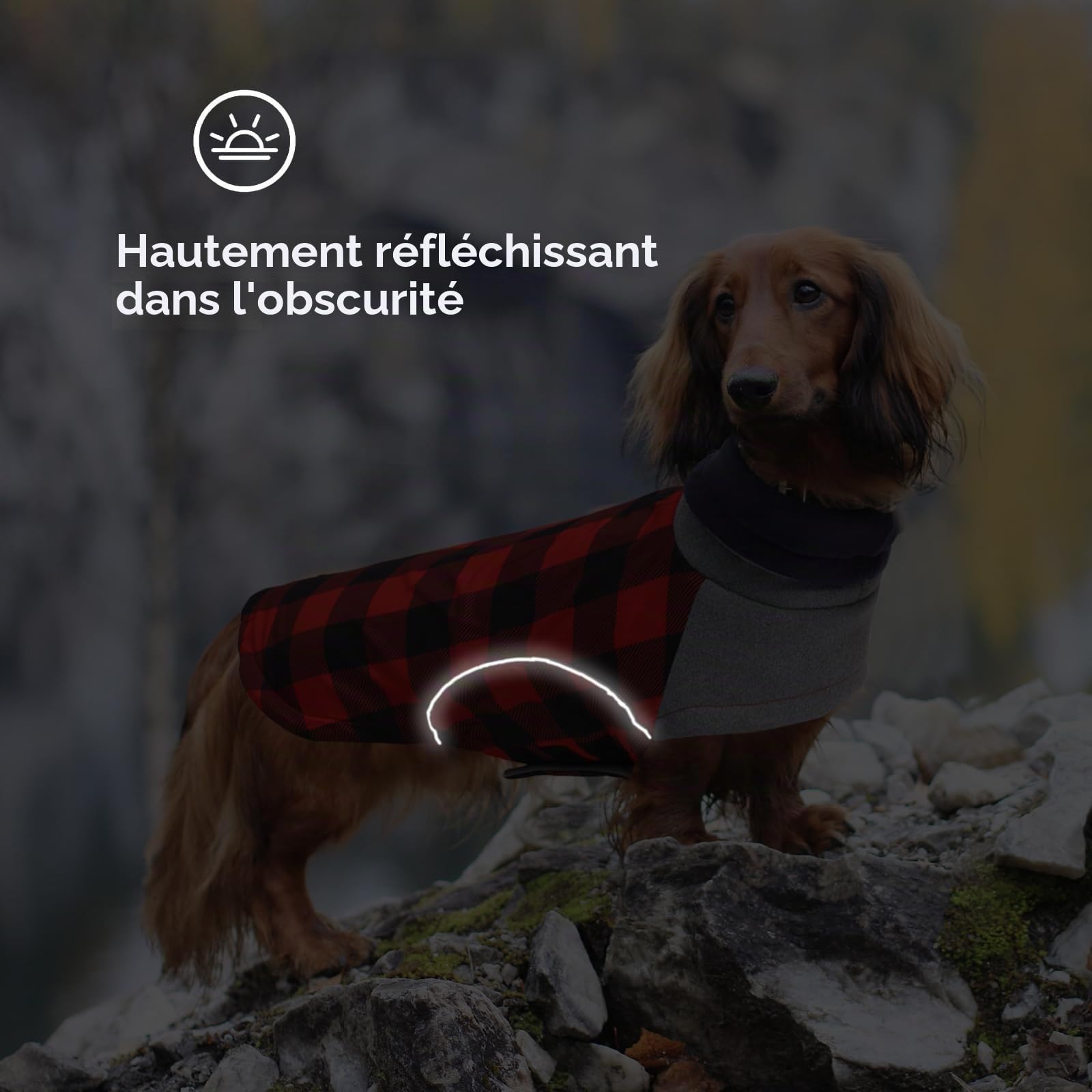 Manteau d'hiver imperméable pour petit chien, veste teckel avec trou pour harnais, idéal pour la marche, la randonnée, le camping, motif écossais rouge, taille M