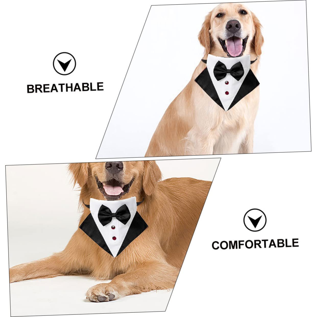 INOOMP 2sets Look Abbigliamento Formale Per Comprendente Un Bandana Cravattino Per Matrimoni e Speciali Costume è Facile Indossare Chiusura è e Accattivante Assicurando Per e Cerimonie