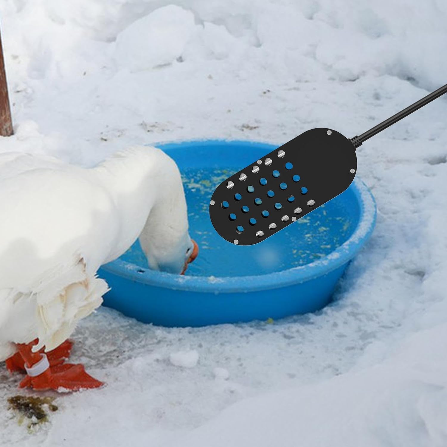 Bird Bath Heater Heater Deicer Built in Thermostat, Pond Deicer, Birdbaths Deicer for Patio Outdoor, Duck,Goose, Round 70W/842 (Color : Square 250W)