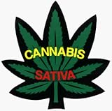 Square Deal Recordings and Supplies Pot Leaf with Cannabis Sativa on it - Hemp/Marijuana/Stoner / 420 - Sticker/Decal