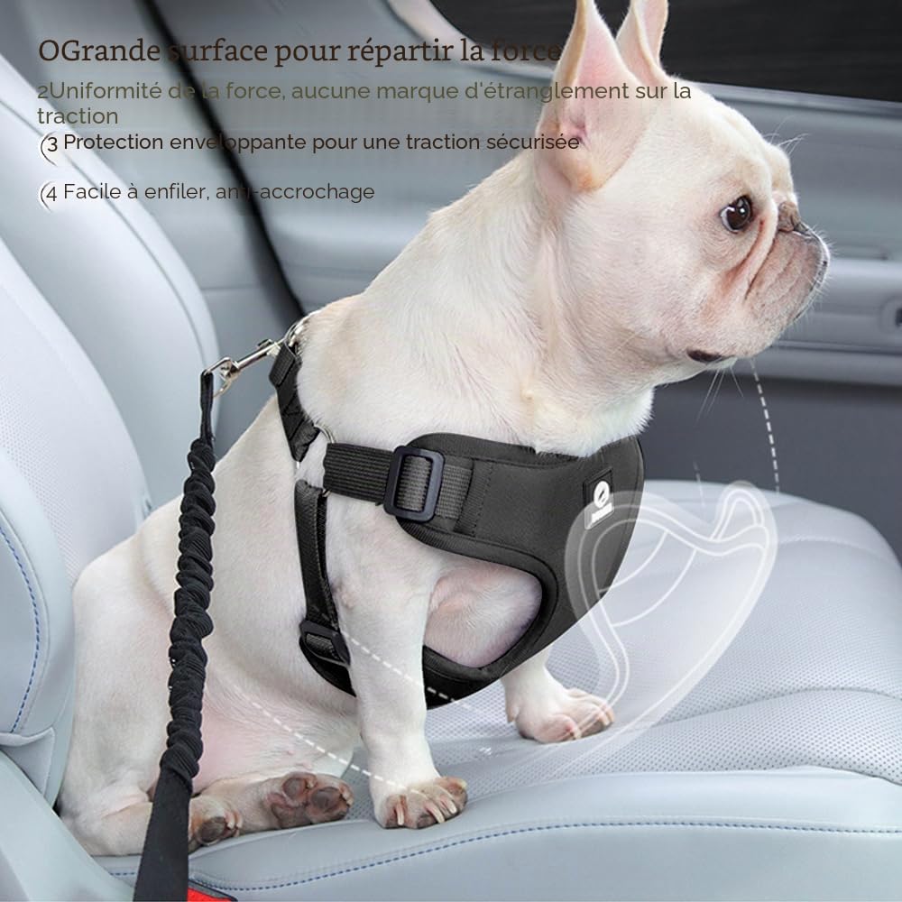 Ensemble de Harnais et Laisse de Sécurité de Voiture, Harnais Voiture Chien en Maille Douce et Respirante, 53 cm-74 cm Ceinture de Sécurité éLastique Réglable à Fixer Sur le Siège de Voiture (Noir, S)