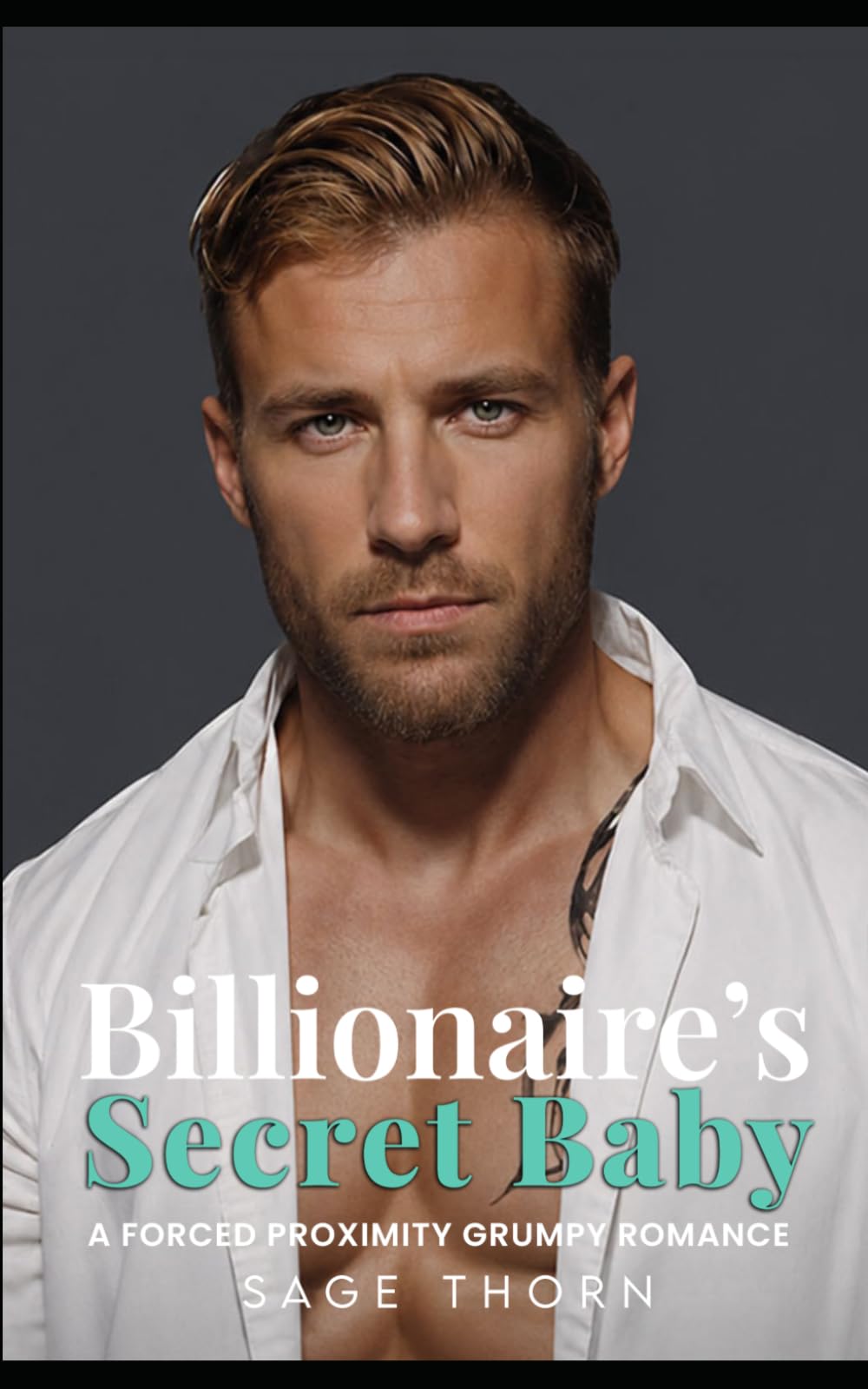 A Billionaire's Secret Baby: A Forced Proximity Grumpy Romance