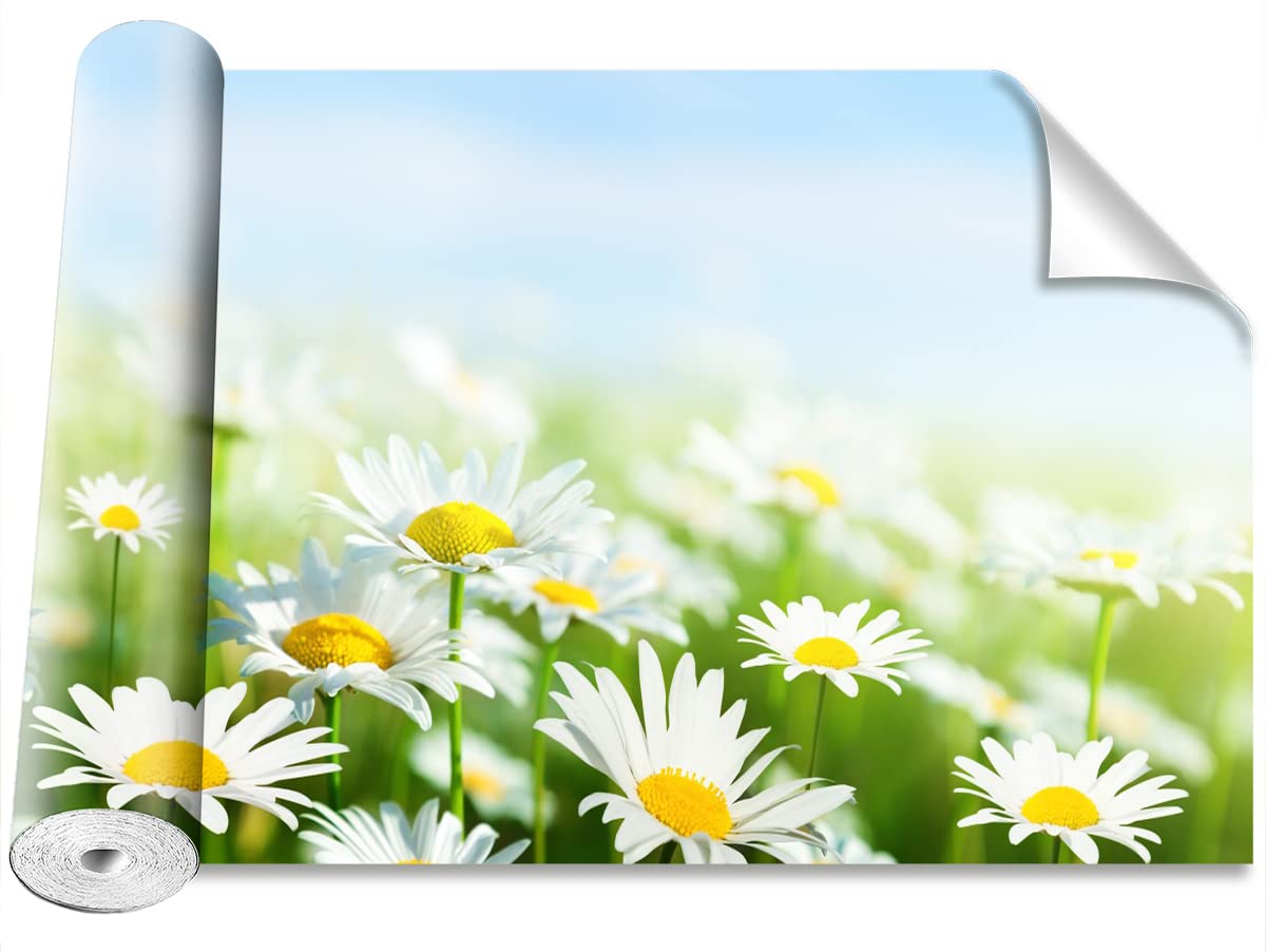 Papier peint floral Marguerite verte Tulup pour salon et chambre