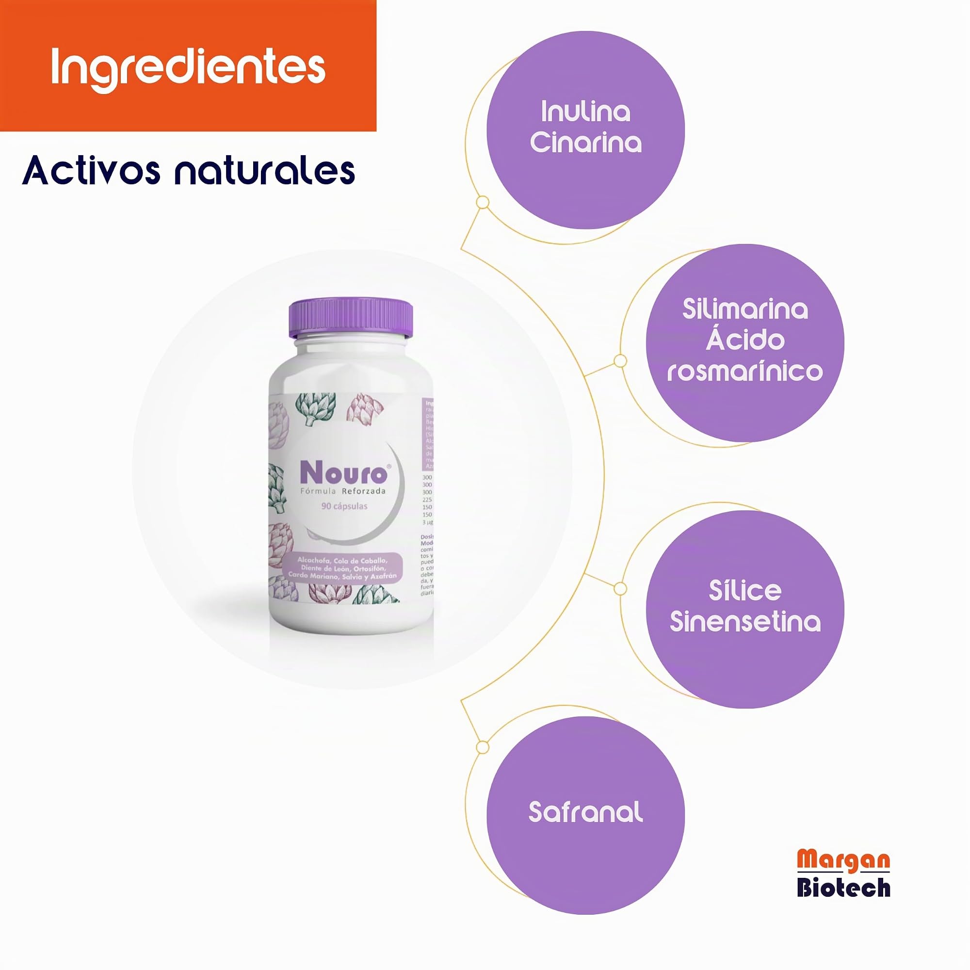 Nouro de Margan Biotech, 90 Cápsulas | Inulina | Sílica | Sinensetina | Silimarina | Cinarina | Ácido Rosmanírico | Safranal | Para Personas con Tendencia a la Retencion de Liquidos | Detox