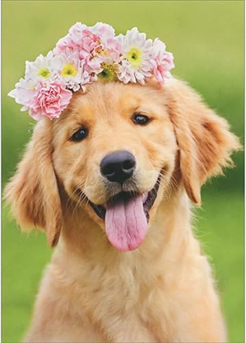 Avanti Press Golden Retriever con corona de flores lindo perro en blanco tarjeta de nota