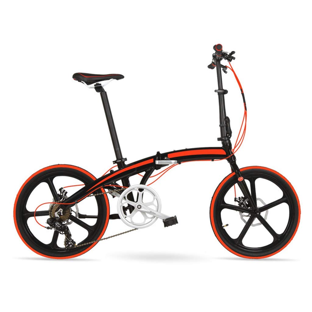 klapprad 20 zoll nabenschaltung 7 gang TYXTYX Faltrad Stoßdämpfung Geschwindigkeit Klappfahrrad Folding Bike,Ultraleichtes tragbares Falt-Freizeitfahrrad Sport & Freizeit Color:FERN DUALITY/BLACK KS Cycling Mountainbike (2026) Sustainable