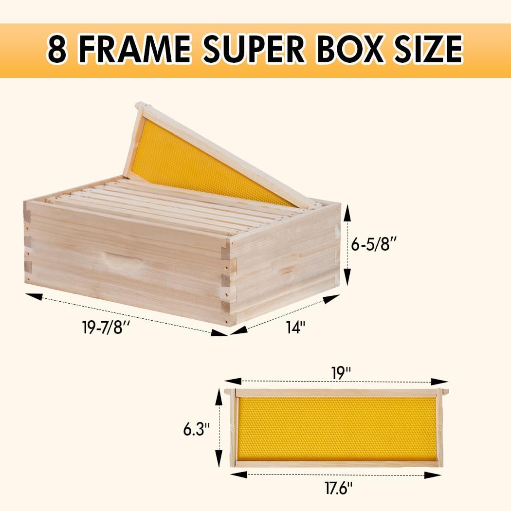 POLLIBEE 8 Frame Beehive kit, Complete Bee Hive for Beekeeper, Langstroth Bee Hives Include 1 Deep and 1 Medium Bee Box with Bee Frames and Foundation(Unassembled)