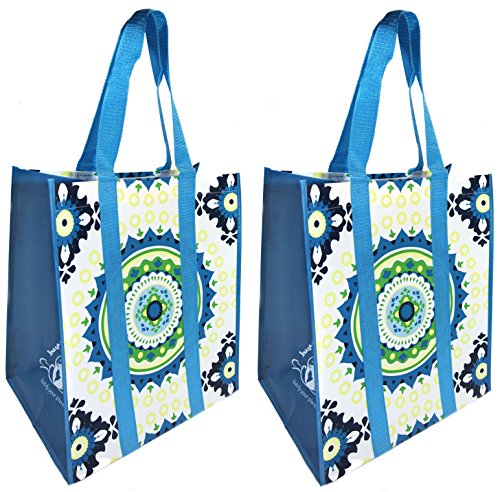 Buti Earth Bag Extra Large Reusable Shopping Bags with Handles Reinforced Bottom, Stay Open Fold Flat, Premium Wipe Clean Totes (2 Pack, Aqua)