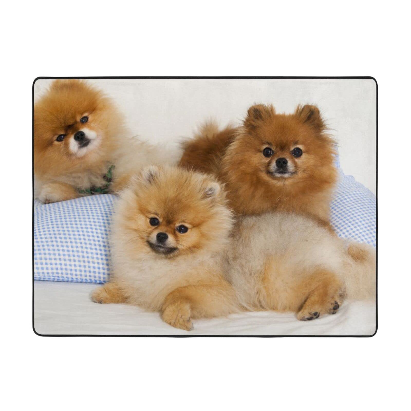 Tapis moderne doux en flanelle de haute qualité 160x121.9 cm