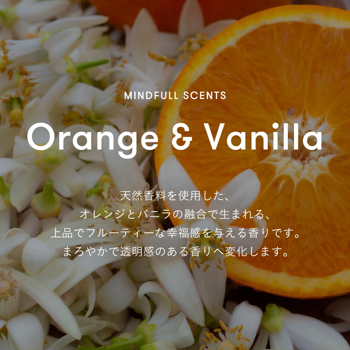 Amazon.co.jp: プランピングバーム/ORANGE & VANILLA : ビューティー