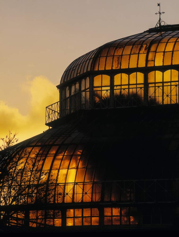 Posterazzi DPI1798319LARGE Palm House, Irish National Botanic Gardens, Co Dublín, Irlanda, impresión fotográfica, 61 x 81 cm, multicolor