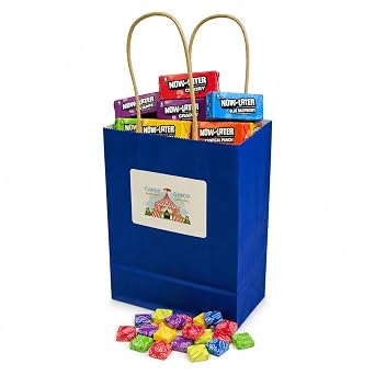 BigTopDealsUSA Assorted Fruit Candy 60ct Food Gift Party Favors