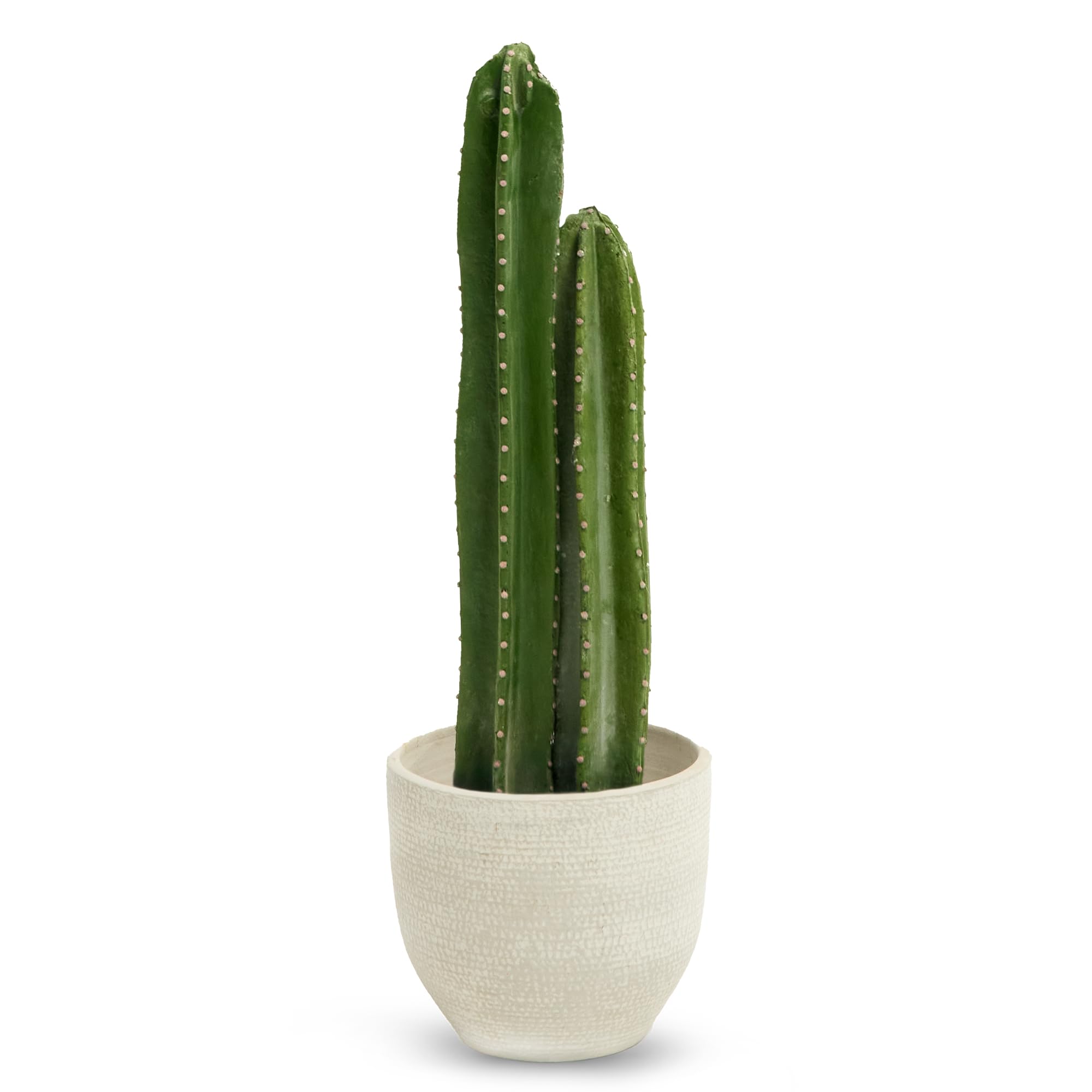 MAIA SHOP Cactus Artificial 70 cm – Planta Decorativa Realista de Tamaño Pequeño para Hogar, Oficina, Hoteles y Proyectos de Interiorismo
