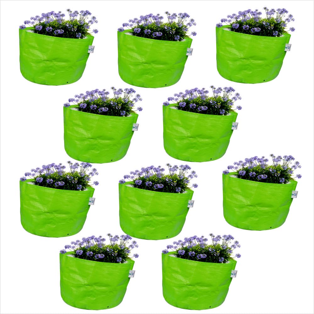 Shish Green Colour Plants Grow Bags Suitable for Terrace, Vegetable and Gardening. (Pack of 5, 12 x 9 inch) (B0CPYJ9YWC) Amazon Price History, Amazon Price Tracker