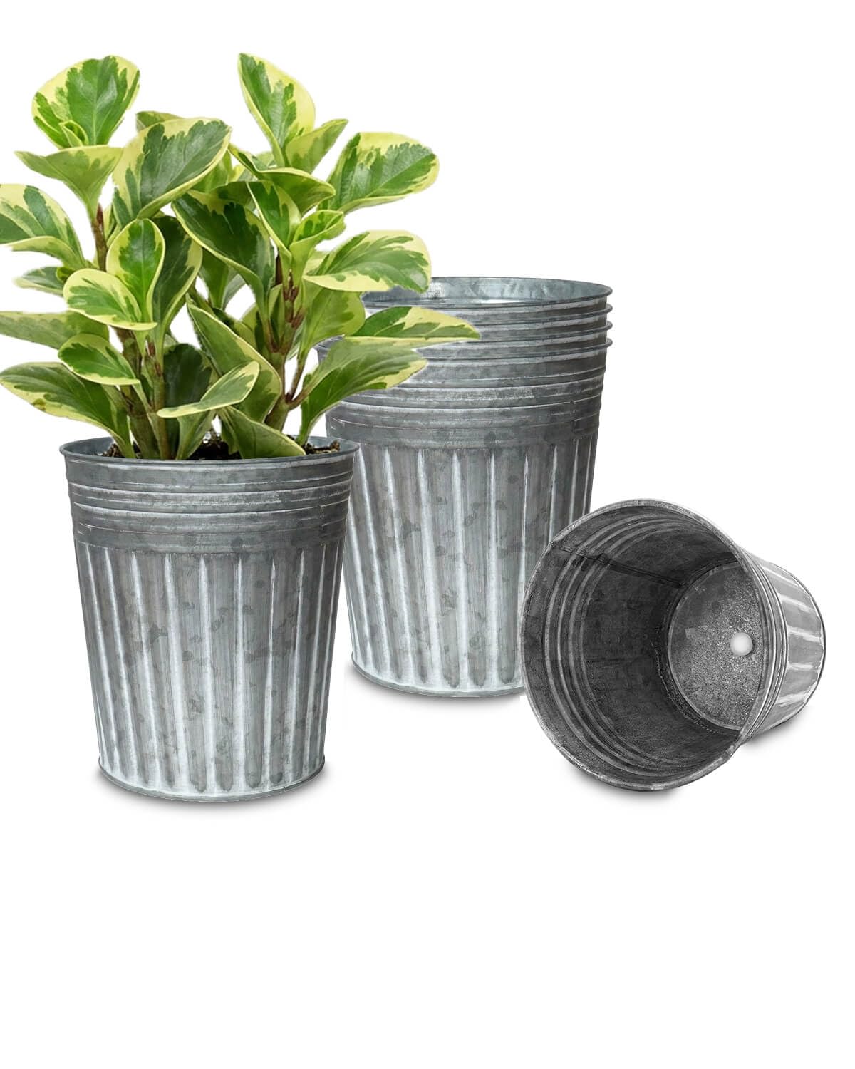 vensovo 7 Inch Silver Metal Rustic Flower Pots - 6Pcs Medium Galvanized Planters with Drainage Hole and Rubber Plug, Rustproof Metal Bucket Plant Pots