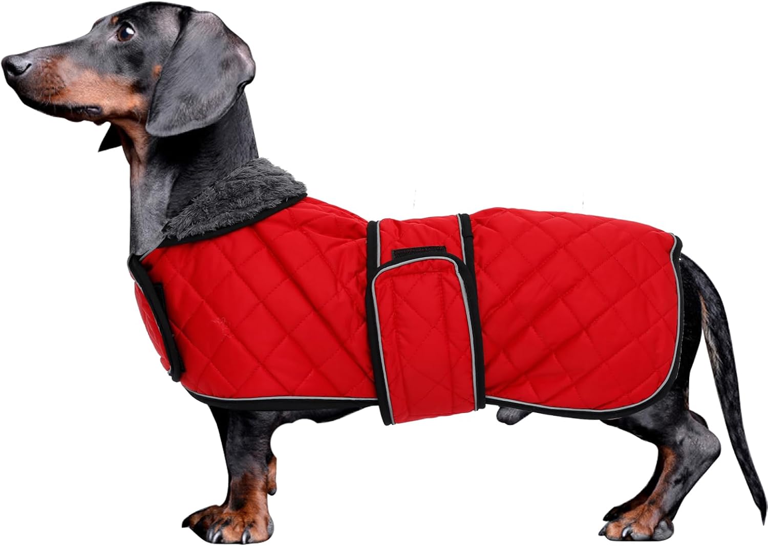 Dachshund Coat Dog Coats for Dachshunds Dachshund Winter Jacket with Padded Fleece Outdoor Dog Clothes with Adjustable Bands - Red - S