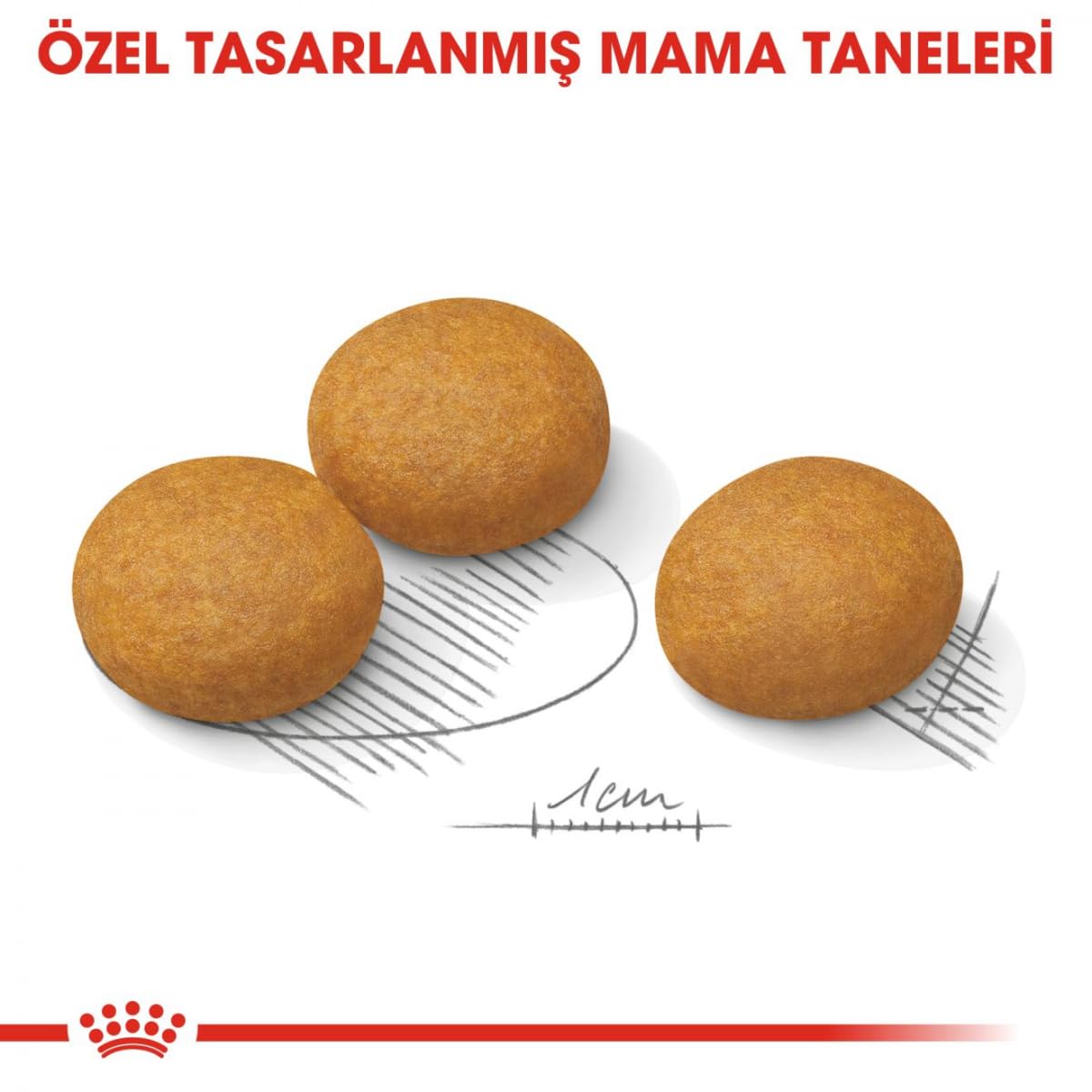 Royal Canin - Croquettes Maxi Adulte Dermacomfort - Sac De 12 Kg