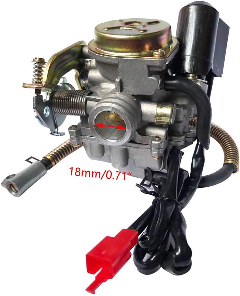 GOOFIT PD18J Vergaser Kit E-Choke mit Benzinfilter Ersatz für 4