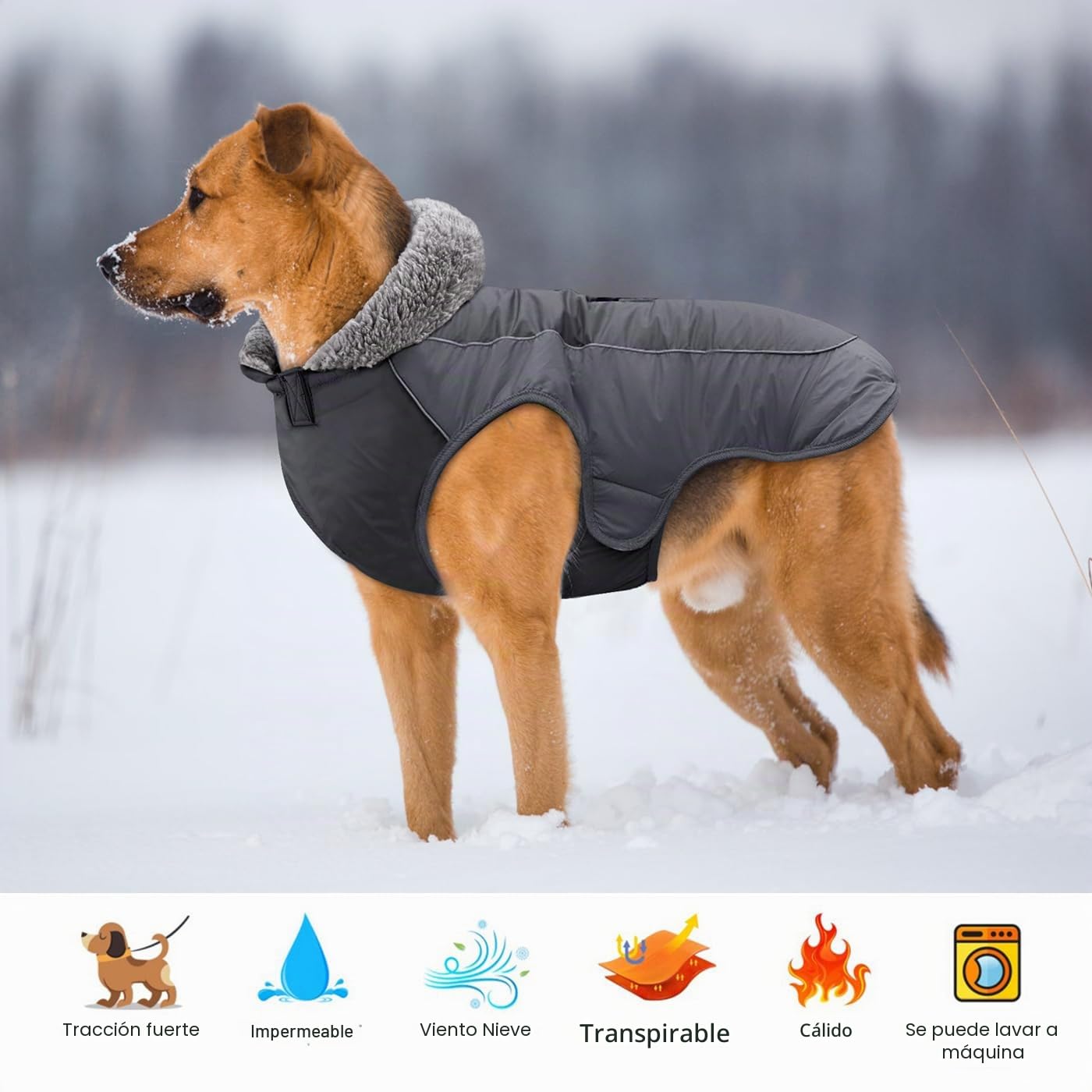 Idepet Chaqueta de Abrigo de Perro, Abrigo de Mascotas a Prueba de Agua, Traje de ensayo, Ropa de Perro a Prueba de Viento reflexiva para pequeños Perros Grandes Grandes Rojo Negro