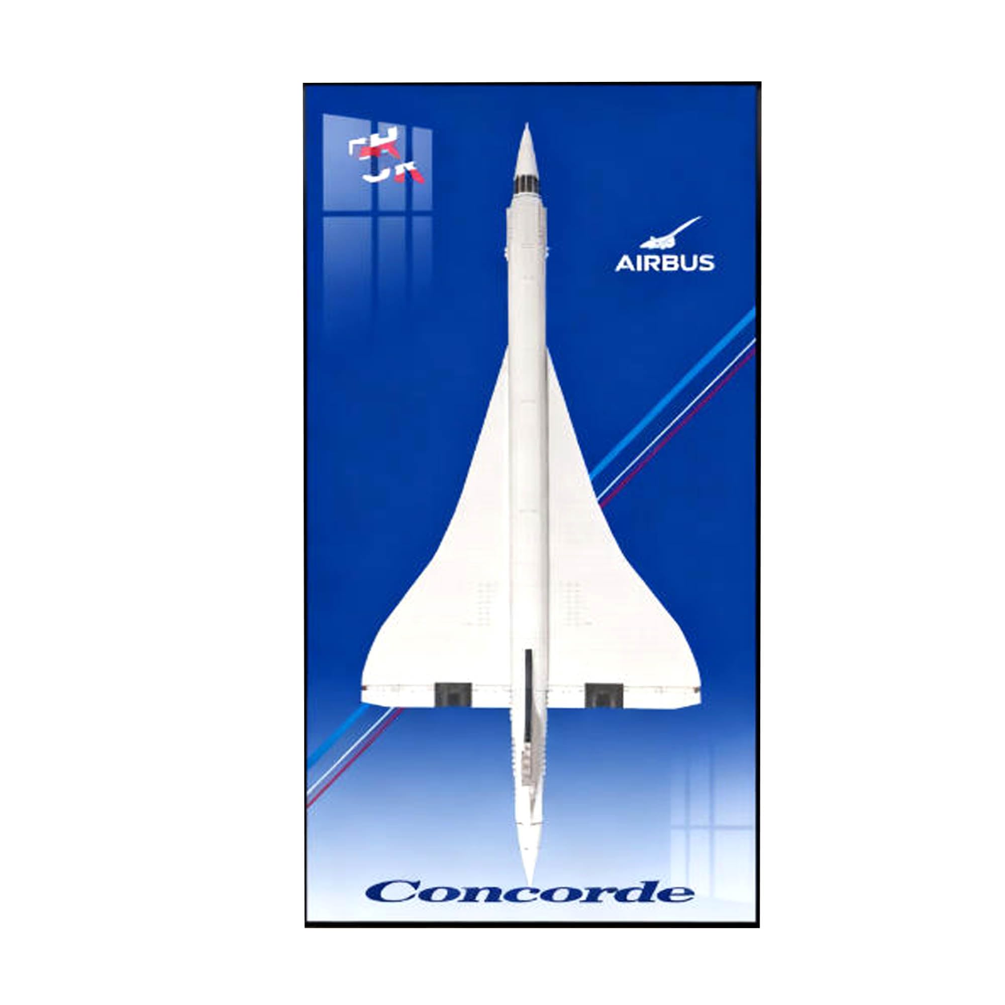 Display Wallboard for Lego 10318 Concorde Building Sets, Compatible with 10318 Concorde Display Frame, Ideas for Lego Wall Mount Display Lovers- 60 x 120 CM, Only Frame (Decorative Painting C)