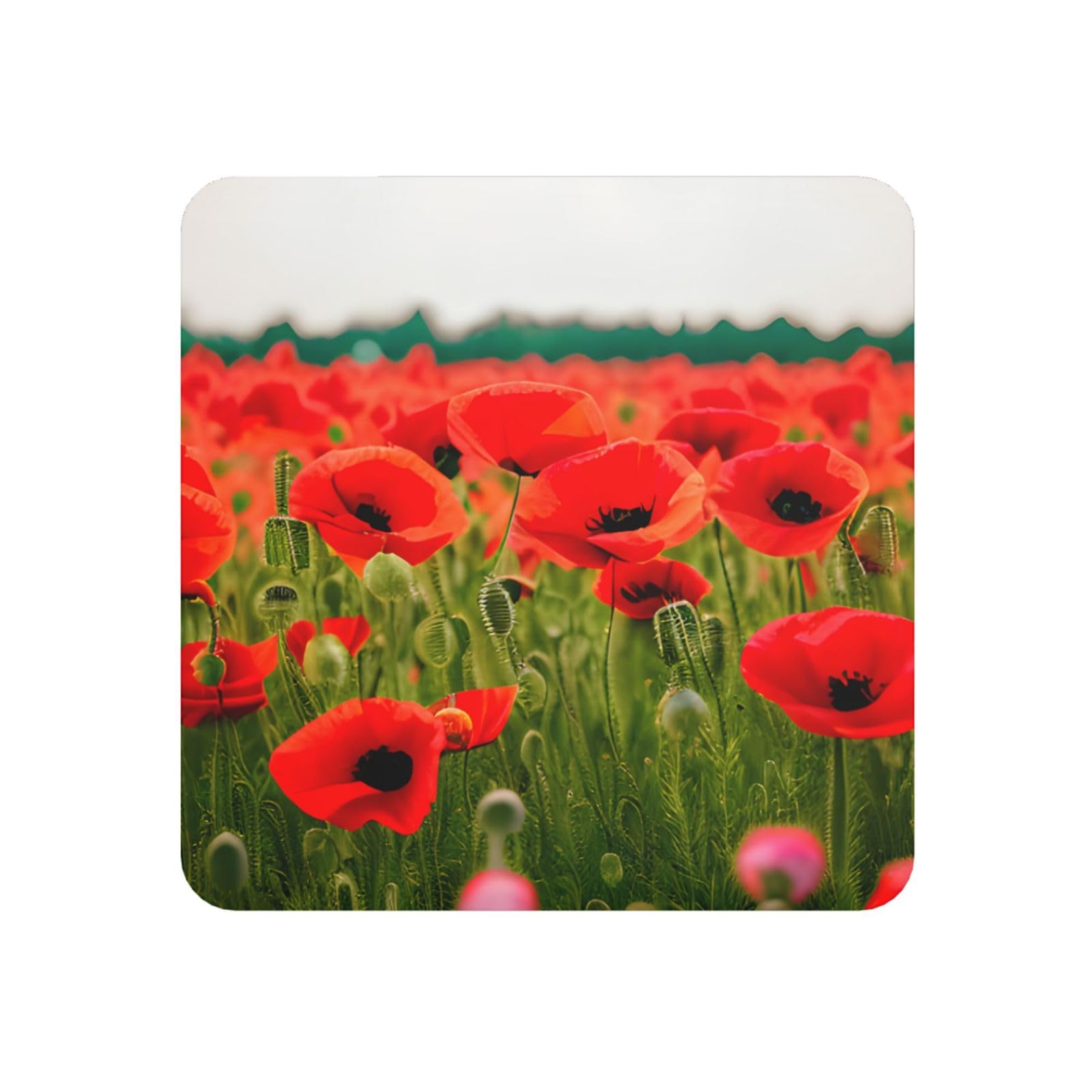 Poppy Flowers Vivid Petals Print Refrigerator Magnet,Magnets For Refrigerator Decoration, Kitchen, Office, Wall