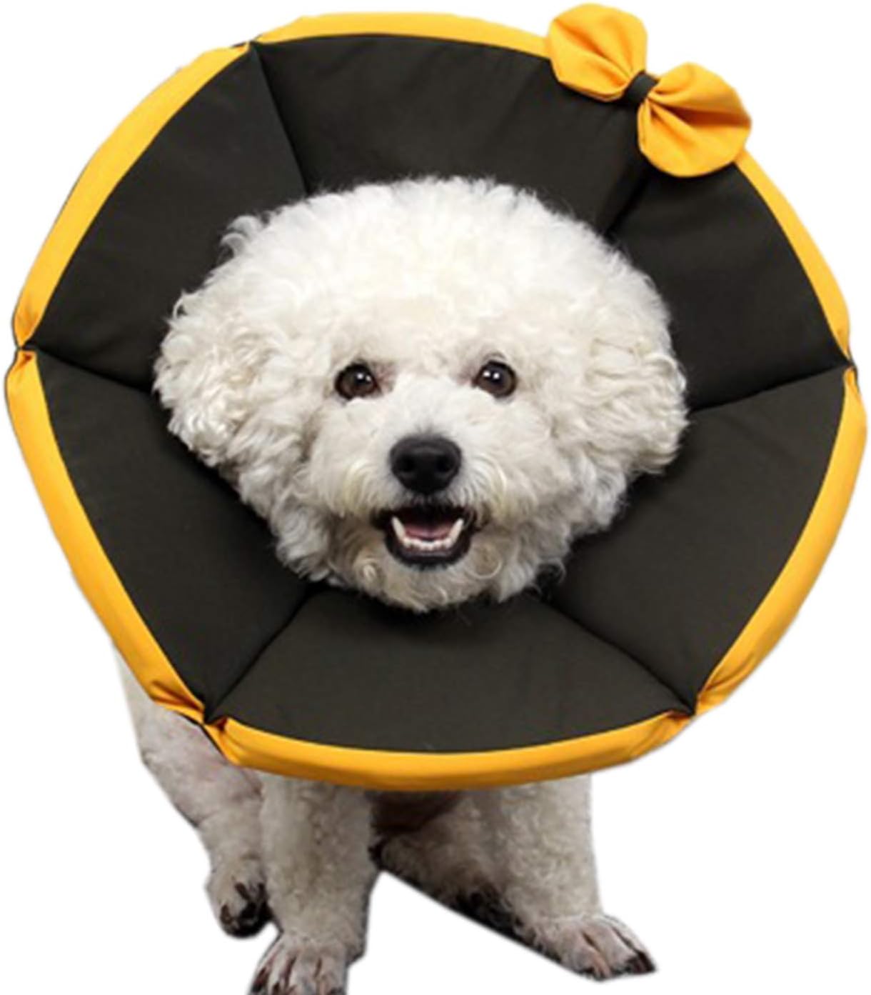 Alfie Pet by Petoga Couture - Timber Recovery Collar for Dogs and Cats - Color: Black, Size: Medium