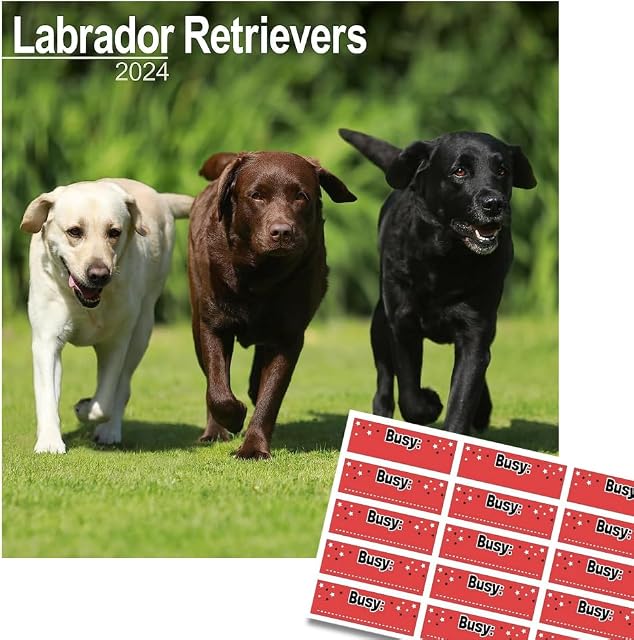 Labrador Retrievers Calendar 2024 | 16 months | with FREE Organisational Stickers