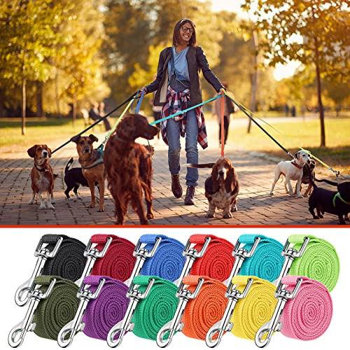 Hundeleine, Nylon, 152 cm, 12 Farben, Welpenleine, Lange Leine, Welpen-Zugseil für kleine, mittelgroße Hunde, Training, Spielen, Camping oder Hinterhof, leuchtende Farben, 12 Stück
