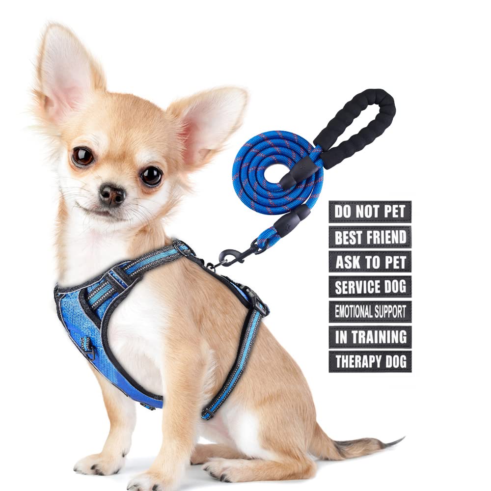 No Pull Dog Harness and Leash Set, Animire in Training Service Dog Vest