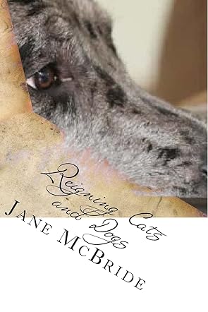 Reigning Cats and Dogs