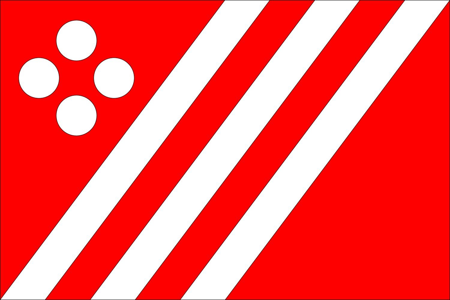 Drapeau de Žinkovy Zinkovy CZ de qualité héraldique supérieure