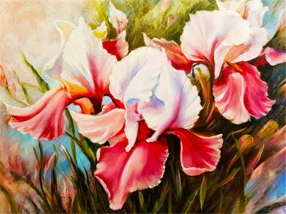 Kit Peinture Diamant Broderie 5D DIY Complet Sirène 25x30cm