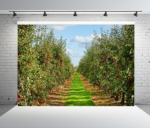 Fondo Fotográfico Manzano 7x5 ft Otoño Naturaleza miniatura 5
