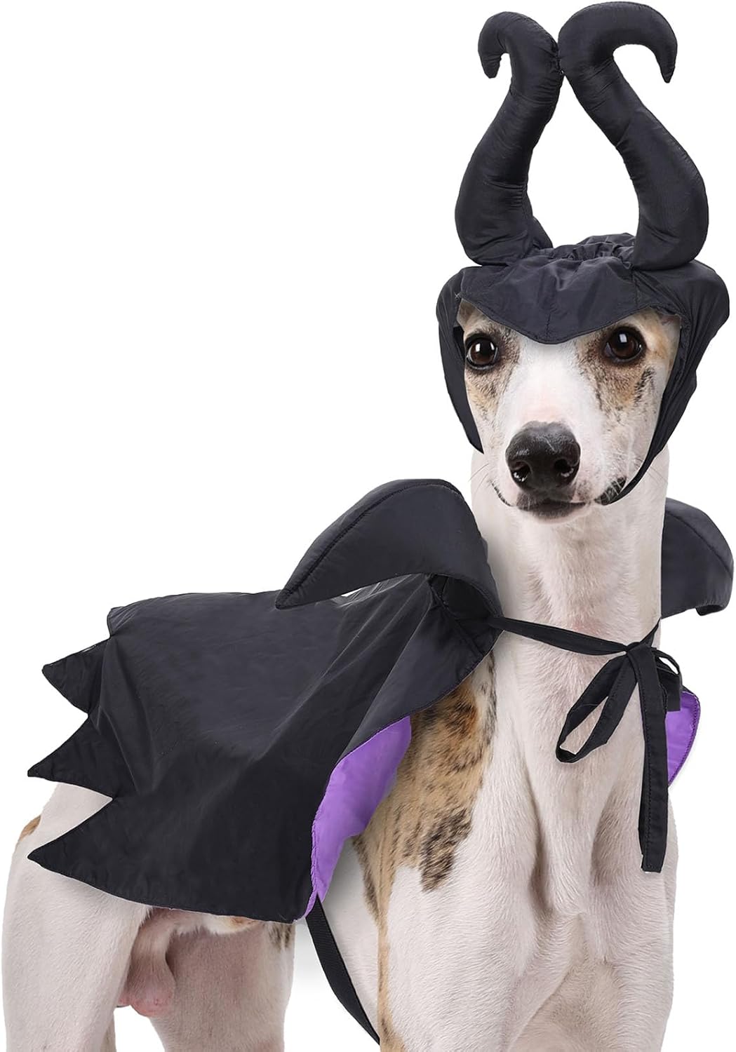 HDKUW 2 Pcs Dog Halloween Costume Set,Funny Pet Vampire Cape and Devil Horns Hat Outfits for Halloween Dress Up Party,Pet Carnival,Pet Cosplay,Halloween Costumes for Small Medium Large Dogs