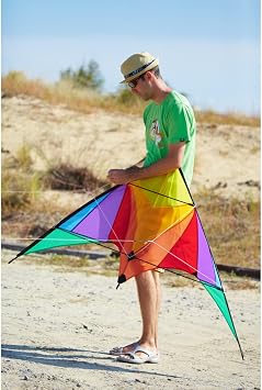 HQ Kites Eco Line Sport Kite - Trigger Rainbow- 35 Inch Double - Line Beginner Stunt Kite - Active Outdoor Fun for Ages 14 Years and Older