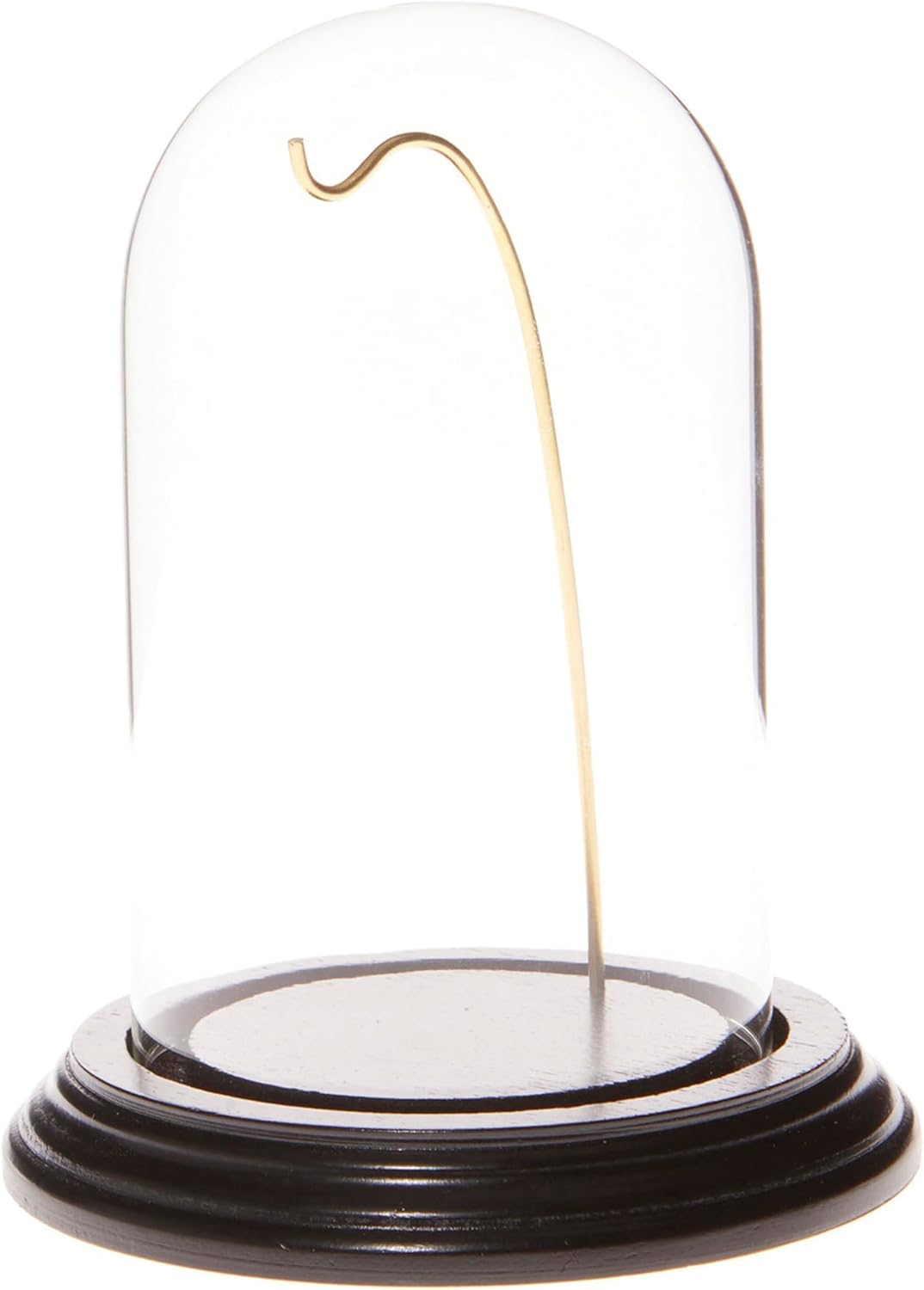 Plymor 3" x 5" Watch Glass Display Dome Cloche (Dark Mahogany Veneer Base & Gold Wire)